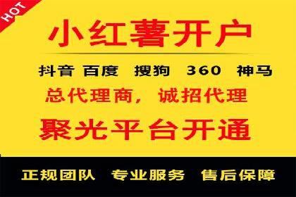 SEM托管公司案例分析：数据驱动决策